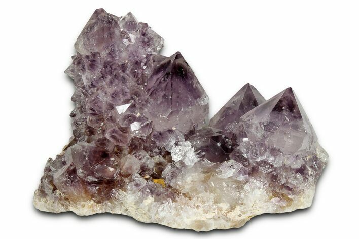 Deep-Purple Cactus Amethyst Crystal Cluster - South Africa #337609